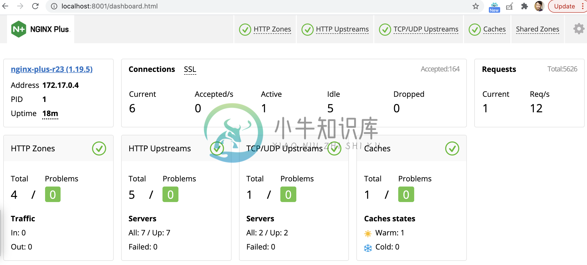 nginx demo results.png