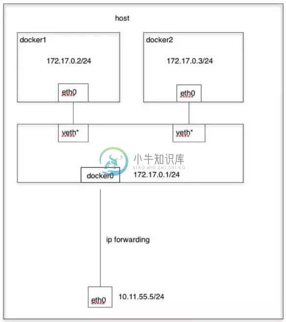 bridge network