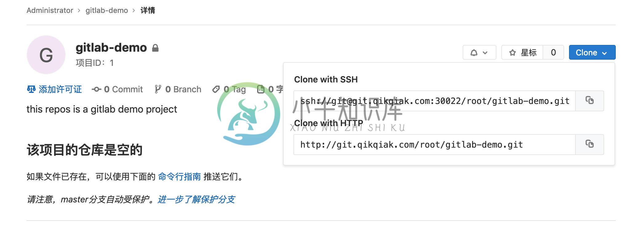 gitlab ssh