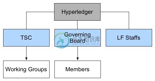 Hyperledger 社区组织结构