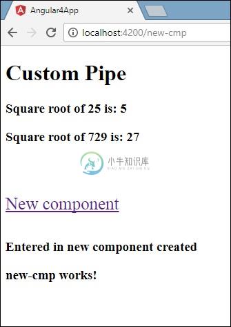 Custome Pipe-2