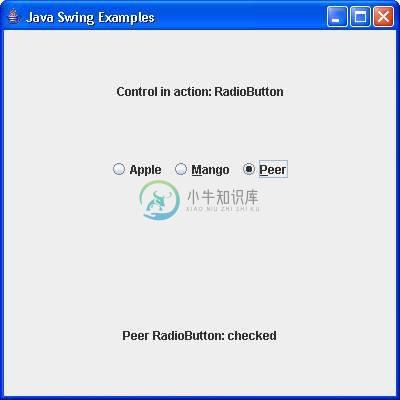 Swing JRadioButton