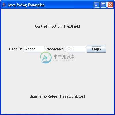 Swing JTextField