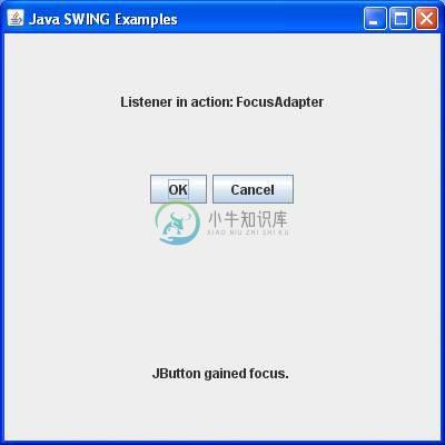 SWING FocusAdapter