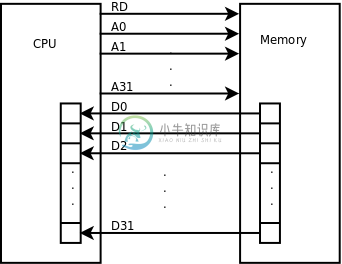 访问内存读数据的过程