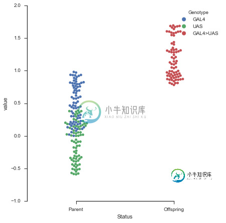 链接到Swarmplot输出