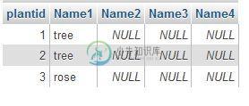 结果显示为除名字外的所有名字添加了null