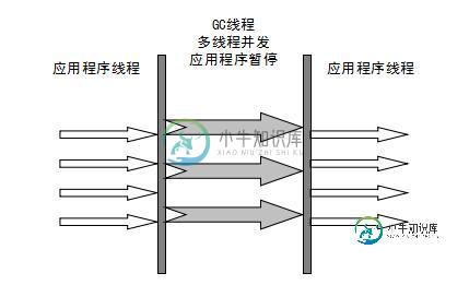 ParNew 收集器 