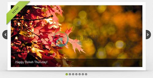 Image With Caption，类似Nivo Slider效果