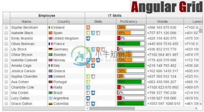 angular-grid