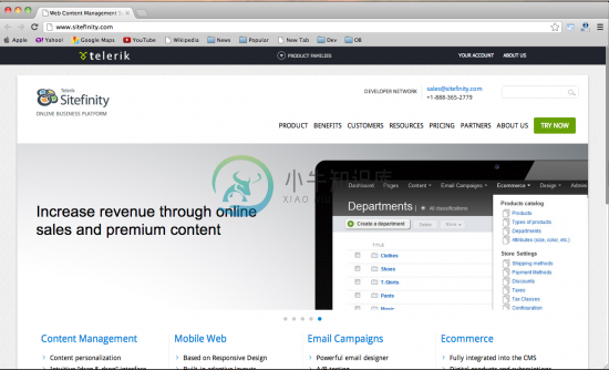 Sitefinity CMS