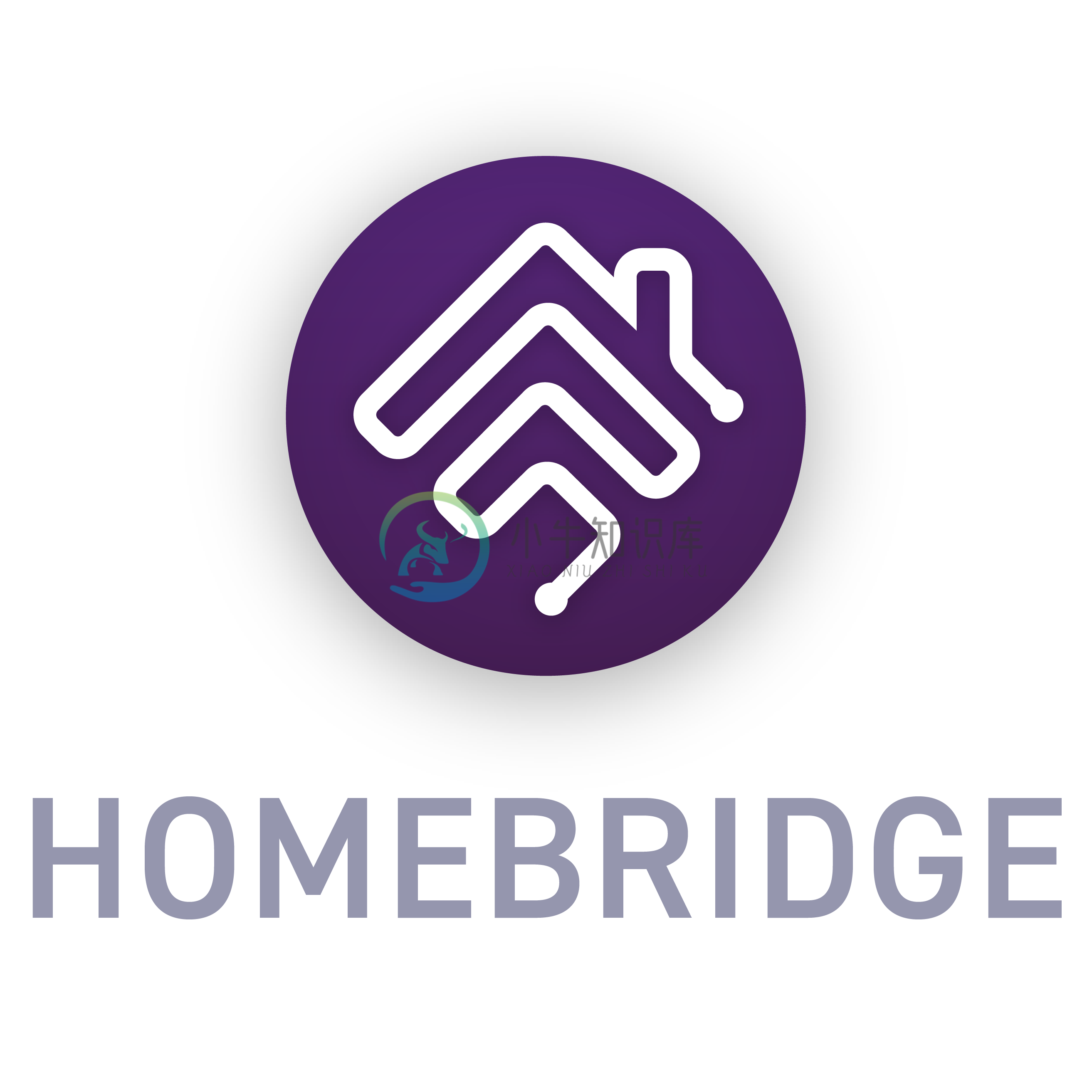 homebridge logo