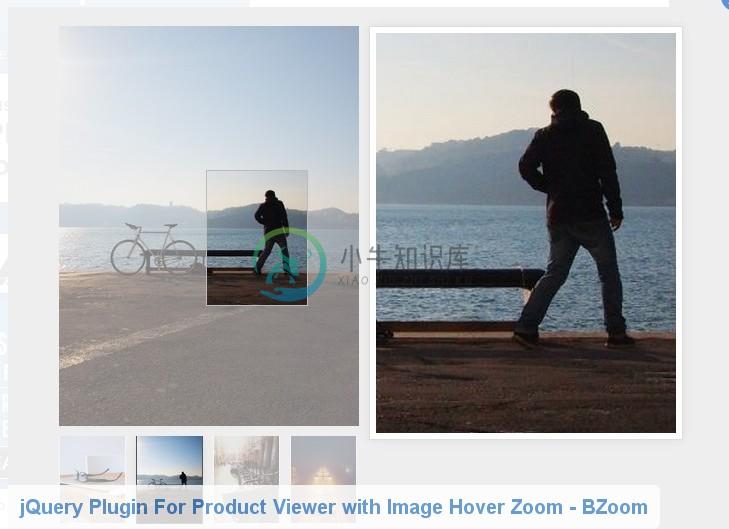 jquery image zoom plugins