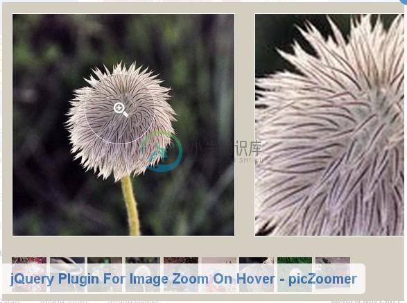 jquery image zoom plugins