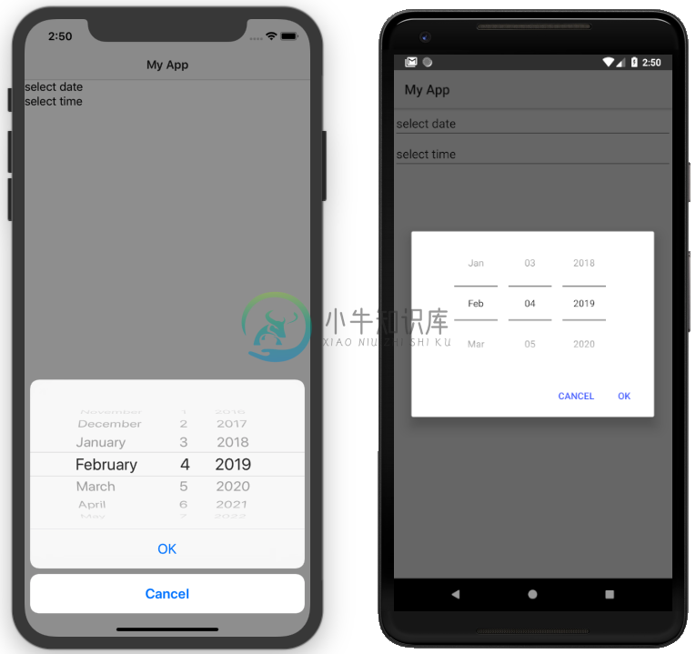 DatePickerField on iOS (left) and Android (right)