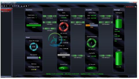 Spotlight on MySQL