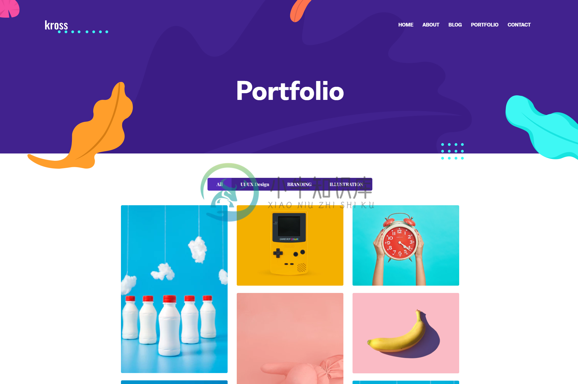 portfolio