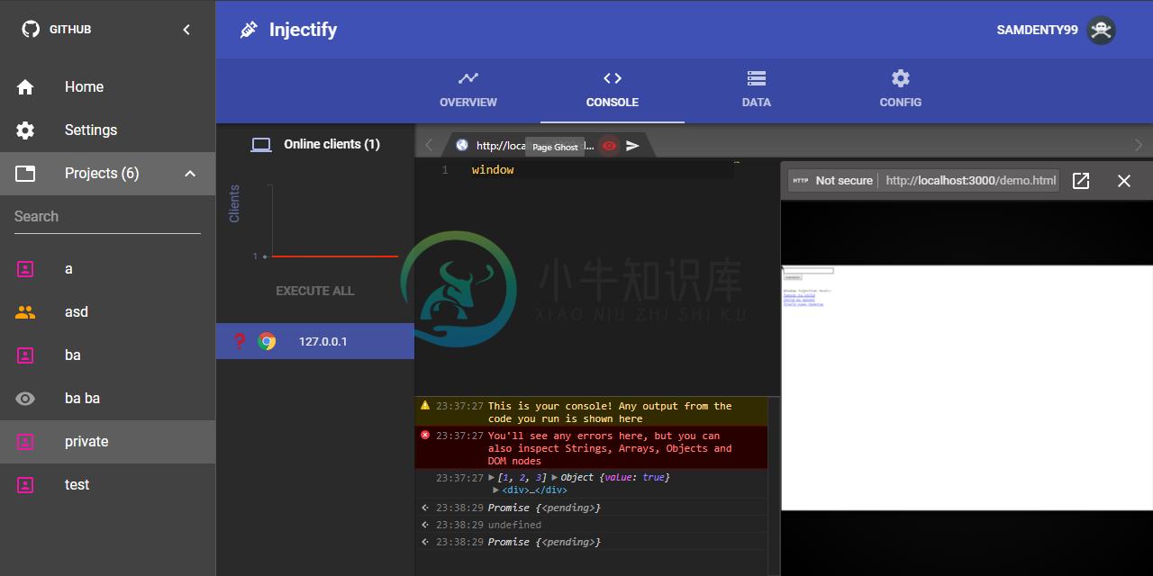 Screenshot of the Injectify UI