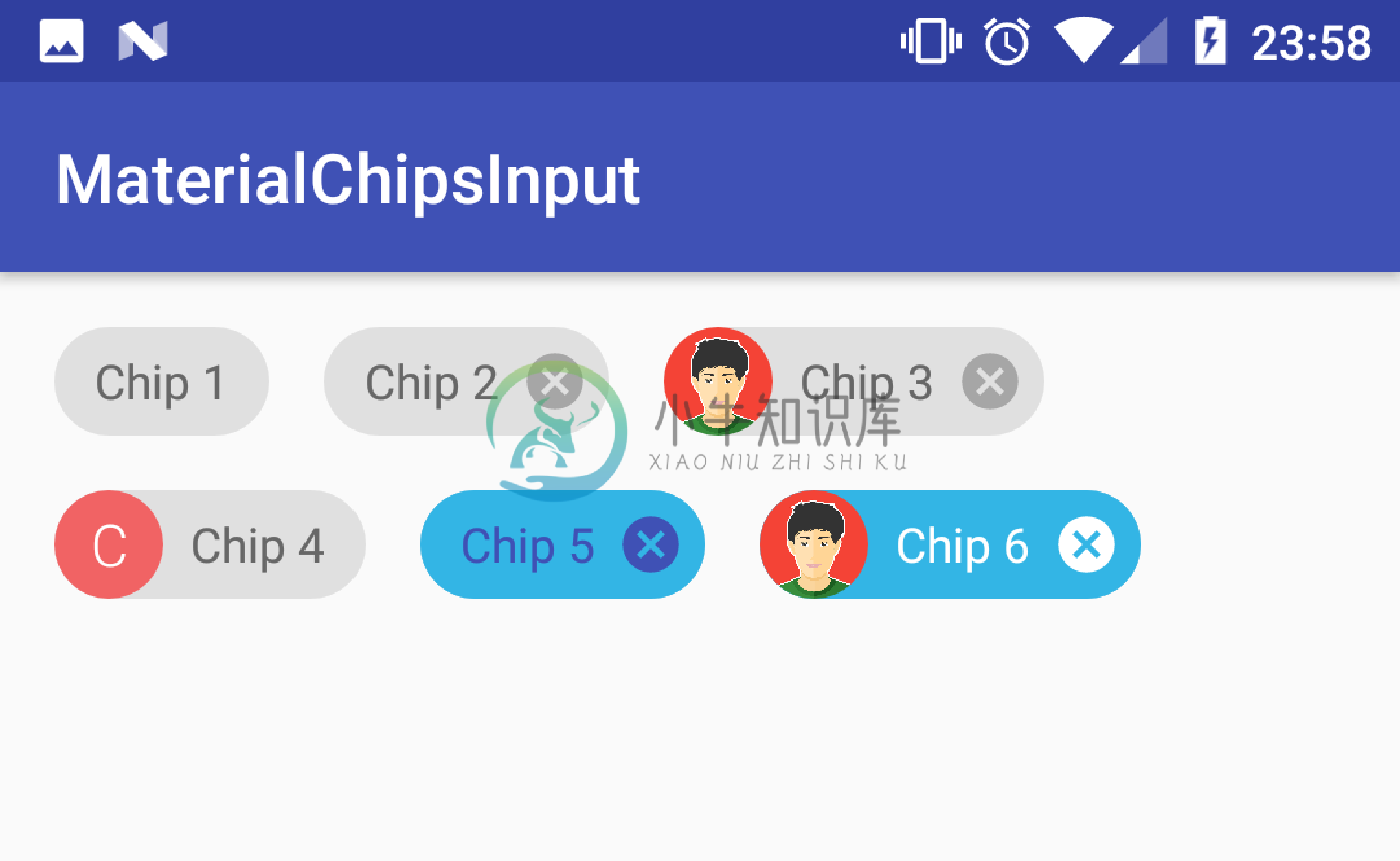 Chips examples