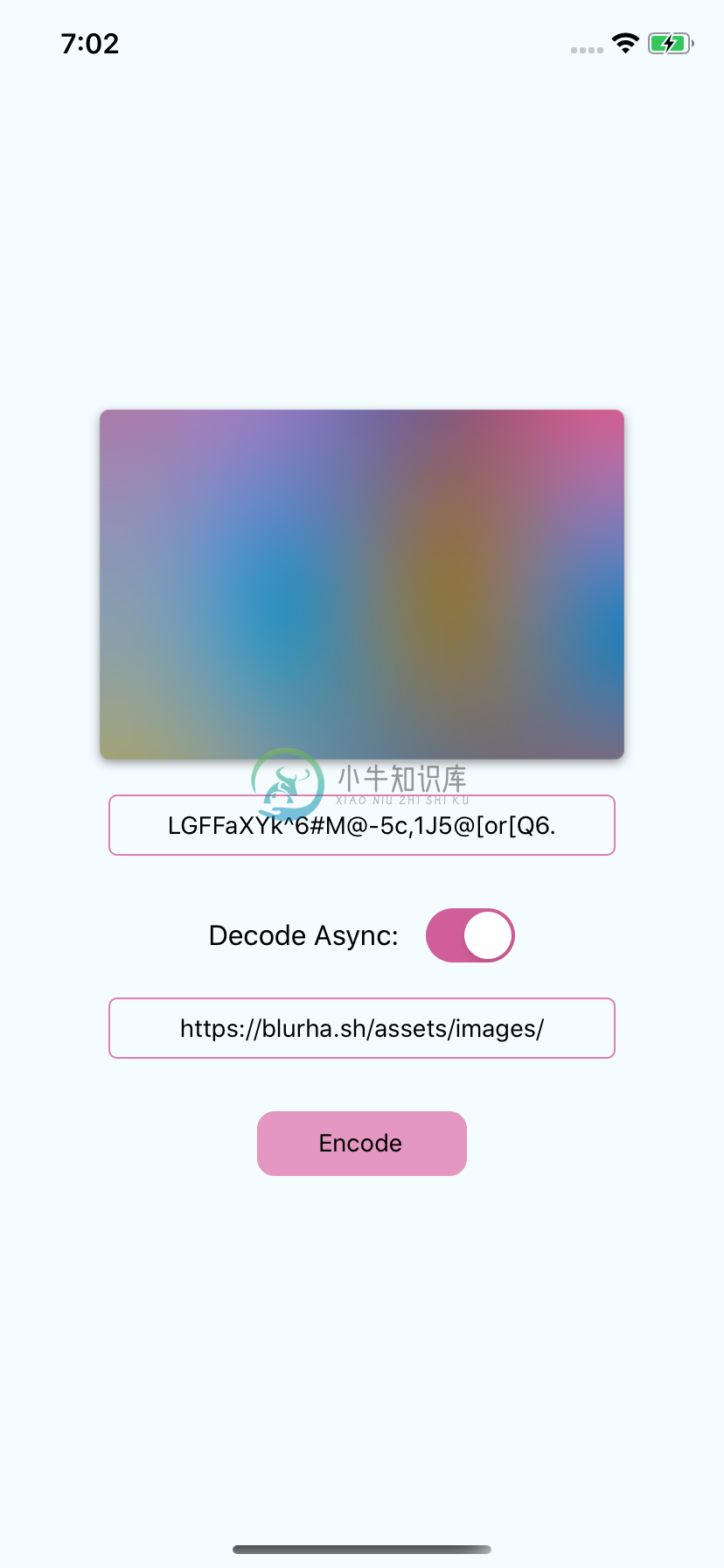 iOS Demo Screenshot