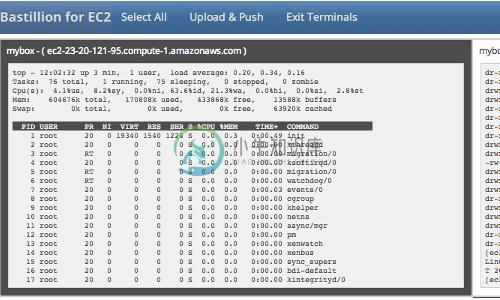 Terminals