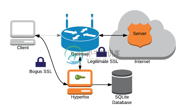 Intercepting SSL