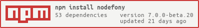 npm package