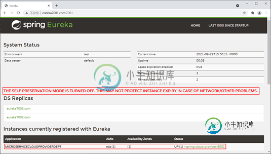 Eureka 自我保护机制 7001