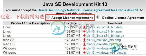 Java SE 13下载方式